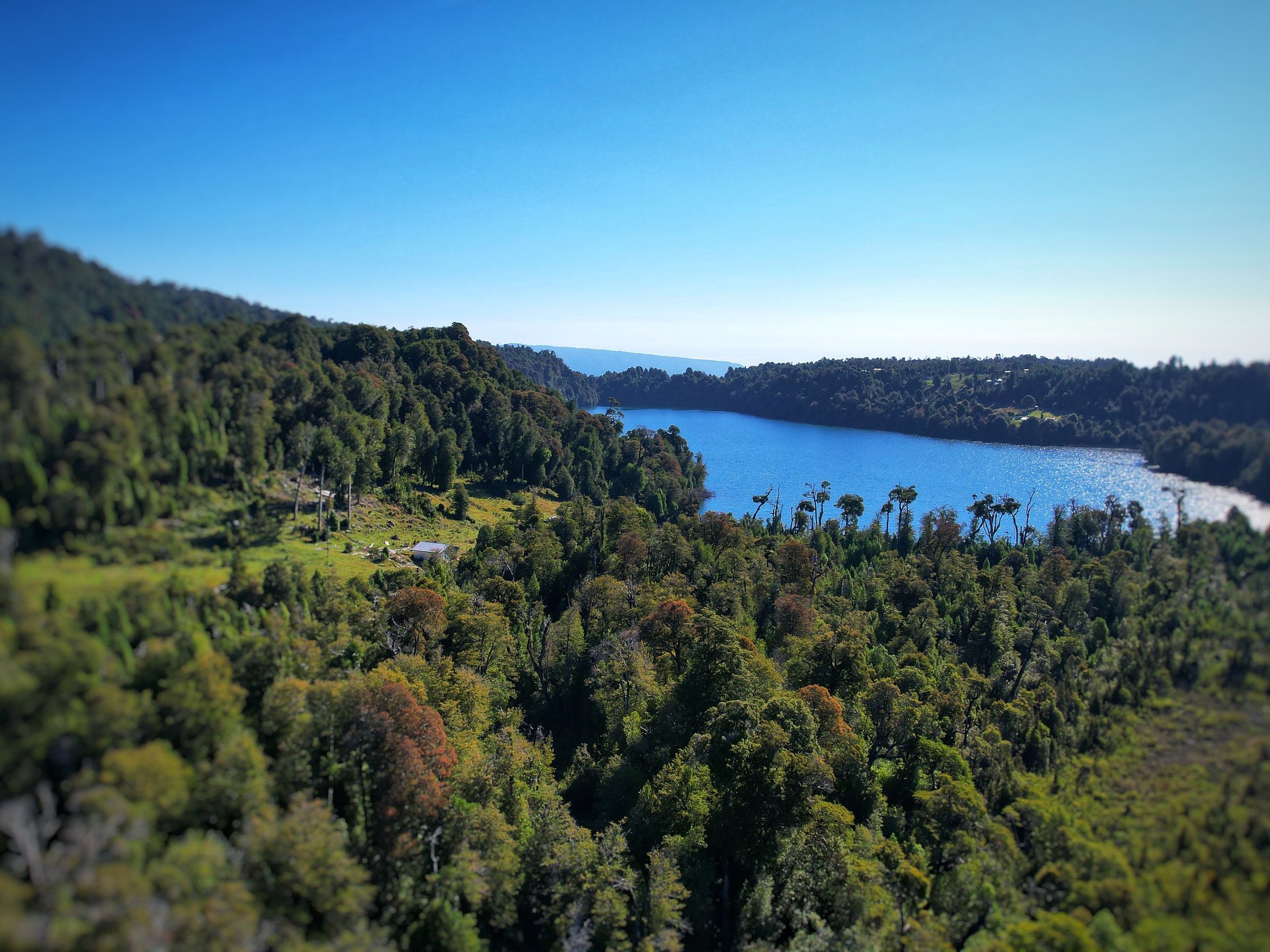 Vista aérea de la Laguna El Palmar rodeada de bosque nativo